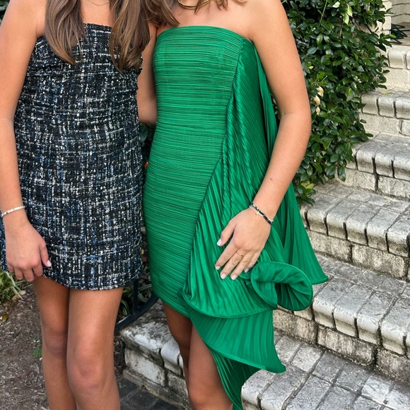 AMUR Kayleigh Dress - Picture 2 of 3